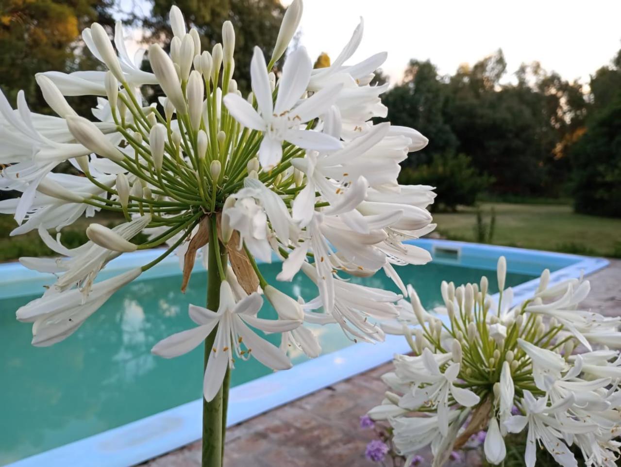 Casa El Encuentro Holiday home San Carlos de Bolivar
